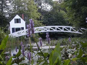 View of an arched foot-bridge over pond on Mount Desert Island, Maine